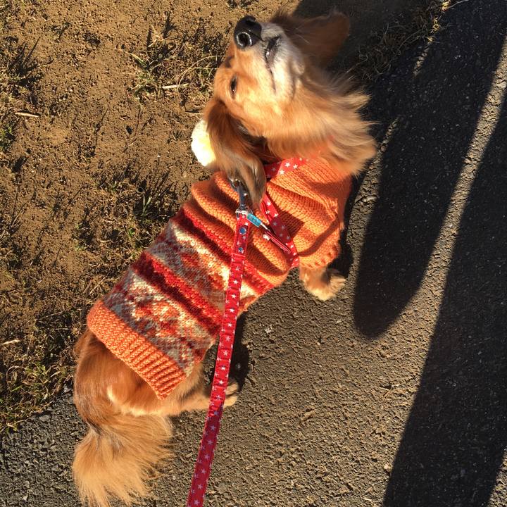 Cd51d675 ff10 47ab a730 8cba26b1b997 1515075632162