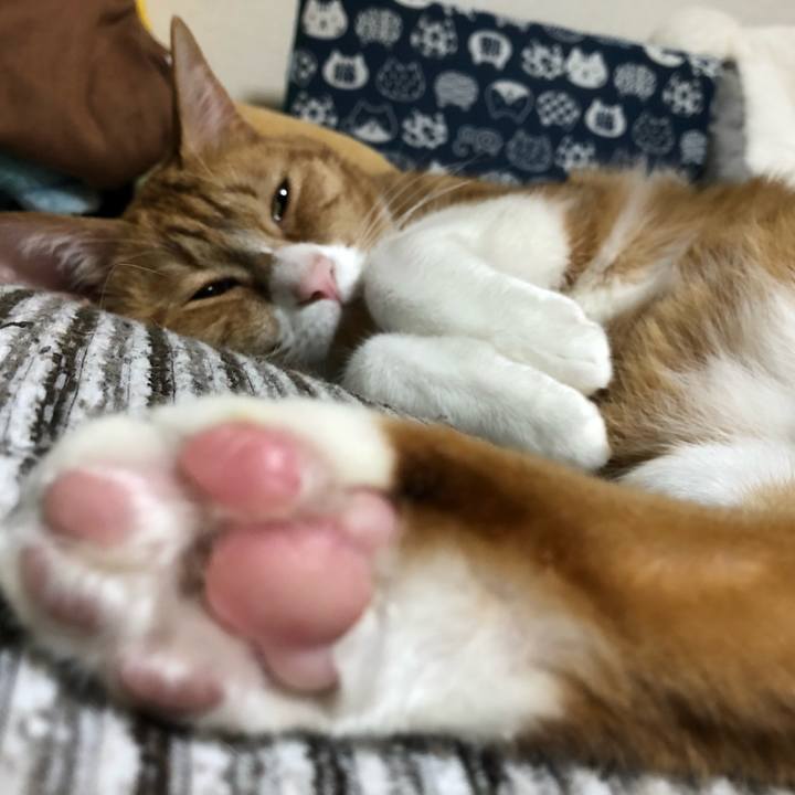 Cd52007c 077b 4e8f 8cfd 69b0ec82d671 1622665306809