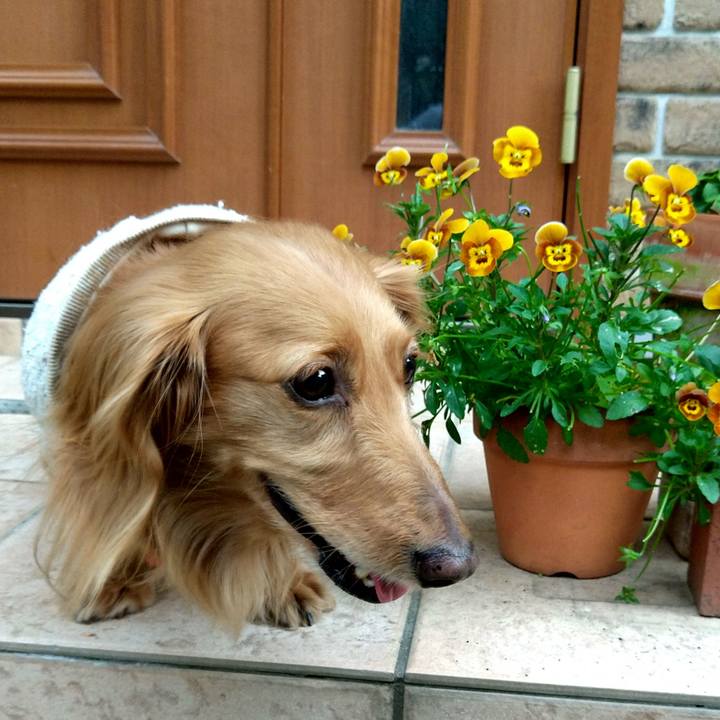 Cd520263 7213 4e64 9293 86b7f8258010 1653039323936