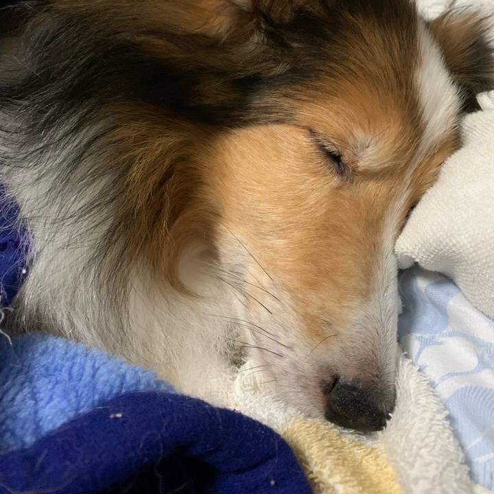 Cd520c48 0f81 42ea 9f39 ddd8d813410d 1590331135453