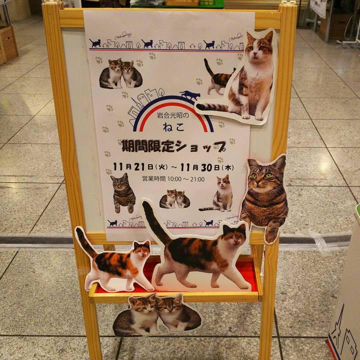 Cd52255f adb2 40af ba90 fcfb2e3d6339 1511936750394