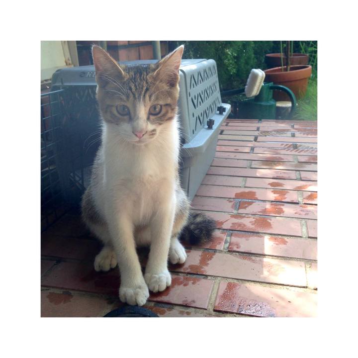 Cd524025 7e77 486b 9a28 ade930345089 1638575030025