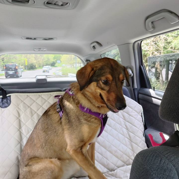 Cd525408 0008 4e3a 8ab3 4ff148fd4fd1 1746444005829