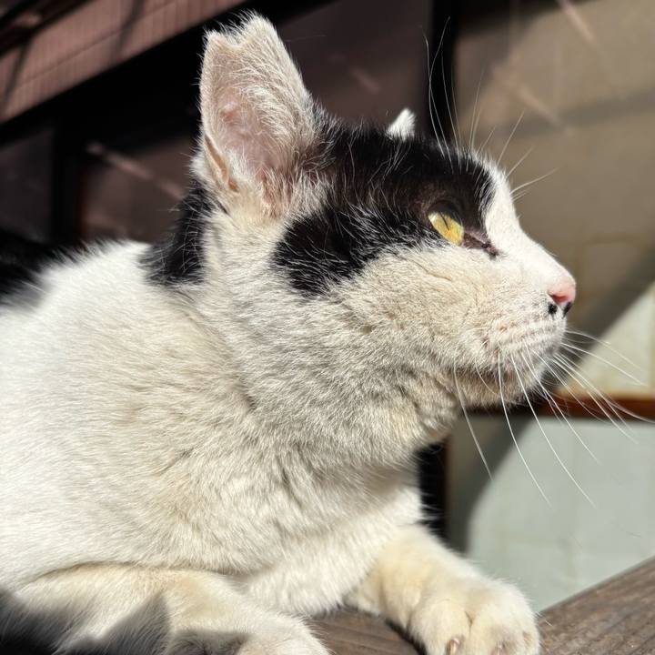 Cd525bb0 ad38 40c0 b791 0fe7ccbec6c2 1772677582411