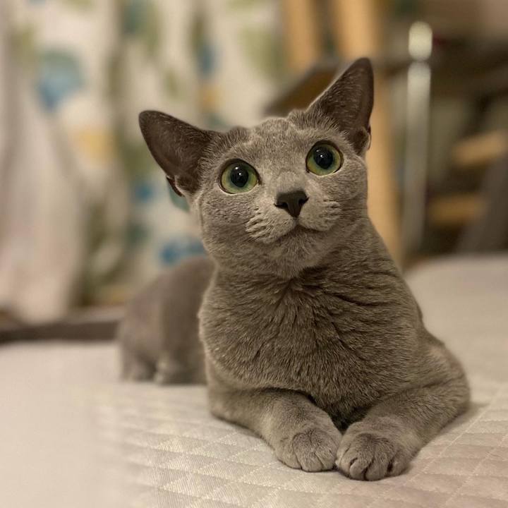 Cd525e57 62d5 4bd4 aae4 50cd99a38b53 1652390235024