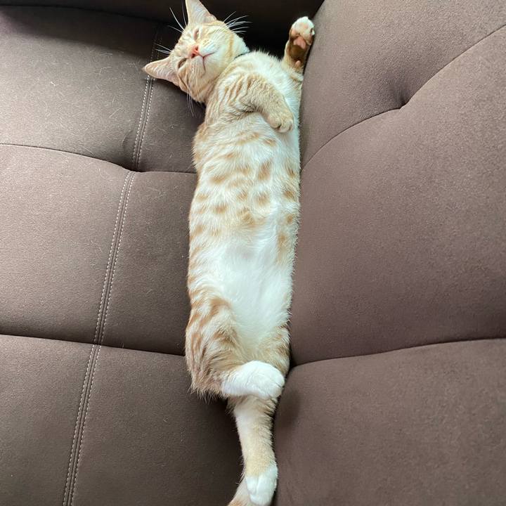 Cd528c18 b93c 4617 bd82 f889b73e2c57 1600660389483