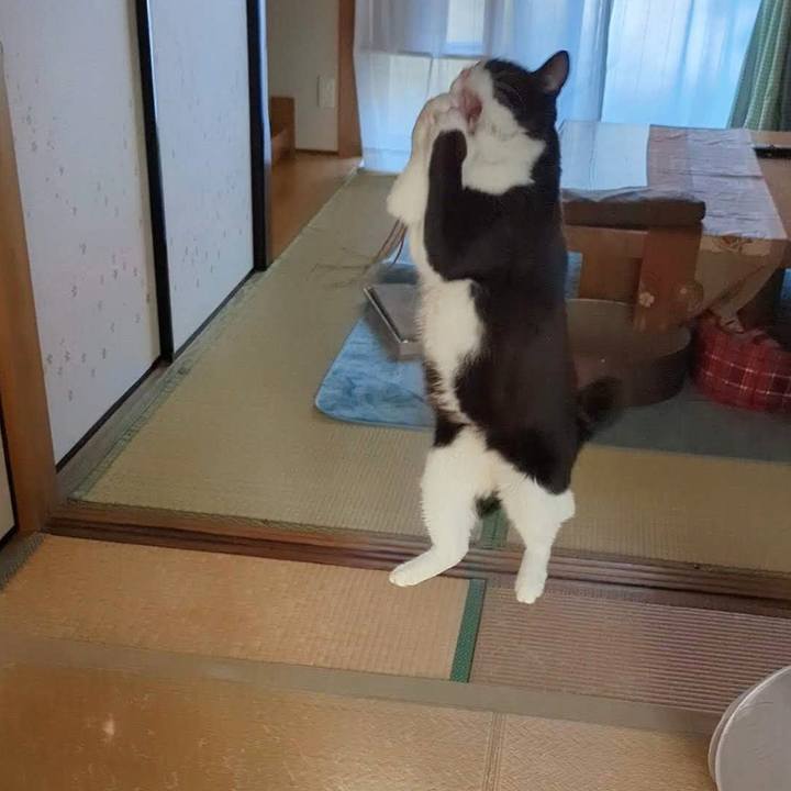 Cd529796 f513 4b9f 80fc 2ac3e790d10a 1764309900045