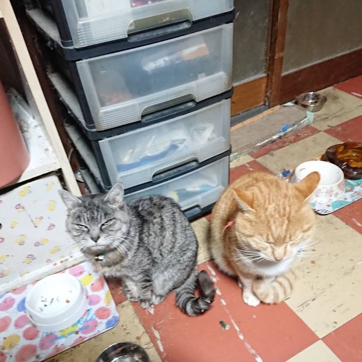 Cd52ef2e 69f0 46df 8818 9f6673f8b64d 1575662822941