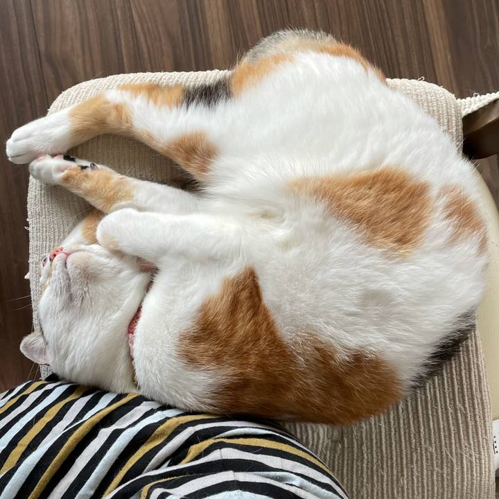 Cd52f0e6 5079 4818 b470 83d5fd2ea21a 1628308850598