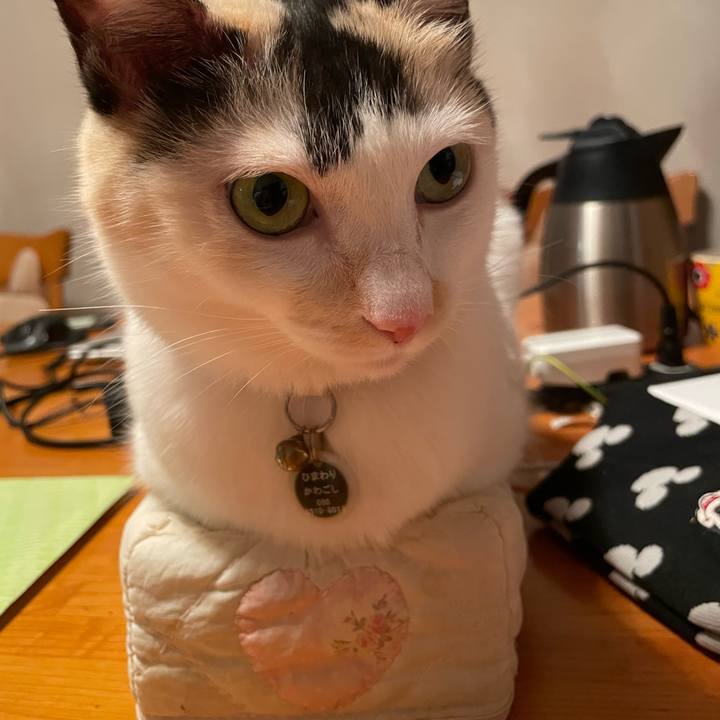 Cd531581 0914 470a 8487 f1089b9bbfc7 1756893741543