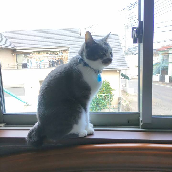 Cd5325bc 01c1 4061 a33b 8f5c1842fbe1 1668224722311