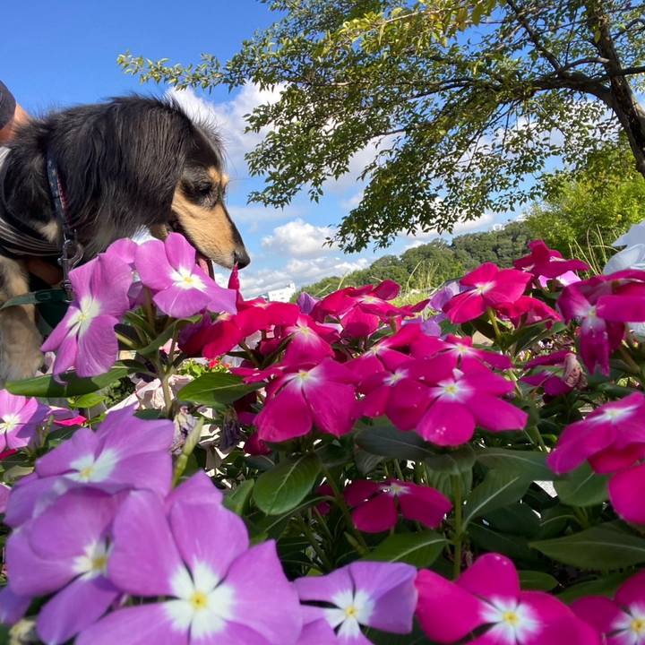 Cd53321c cf95 47d5 b794 2c3b50ab8e62 1753831663737