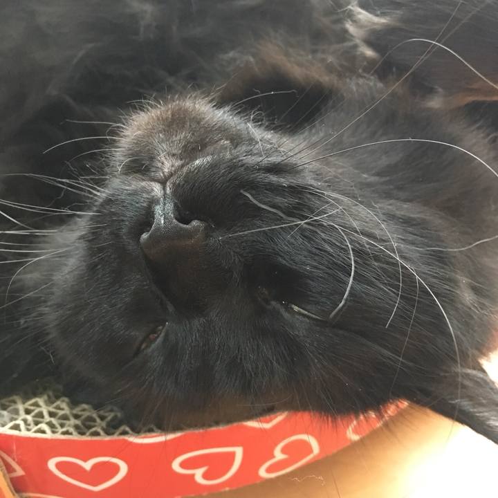 Cd533bf1 d0dd 44fd ab10 5e758469d4ab 1531129110145