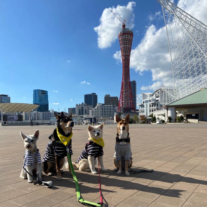 Cd5361f9 9771 484e aaf8 531d89d1020e 1700021629859