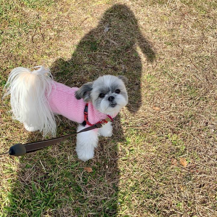 Cd536cc3 9dd7 4f2c 8432 129a5e7a7fee 1612339615921