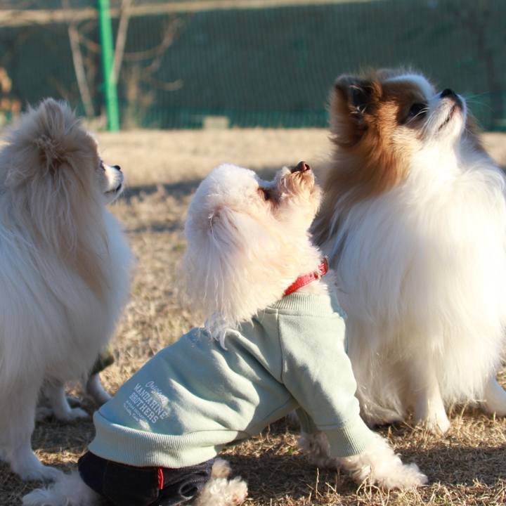 Cd536d8a 51ab 4708 8537 94991955a418 1612091170014