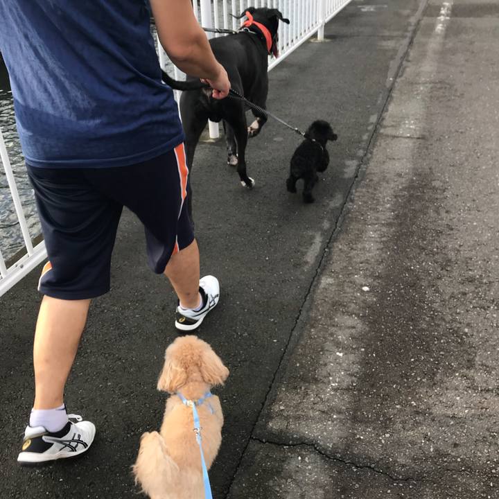 Cd53b7a4 d381 4c01 97d8 f508a683dca6 1536359344952