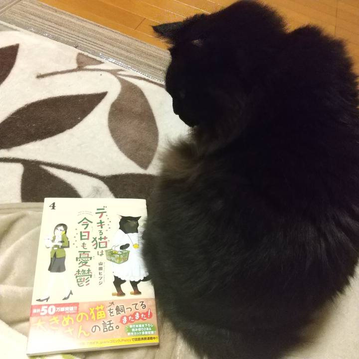 Cd53d32e e114 4b43 8cc7 7e4af23a5da2 1607689305499