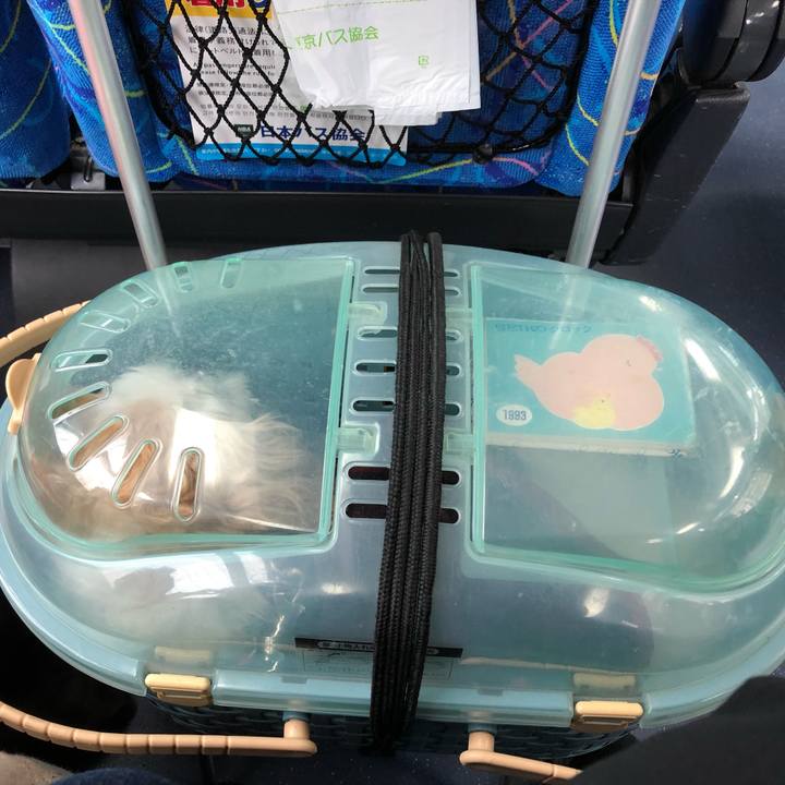 Cd53e31c 432c 4f85 ad80 03f2afb1ab80 1571359941194