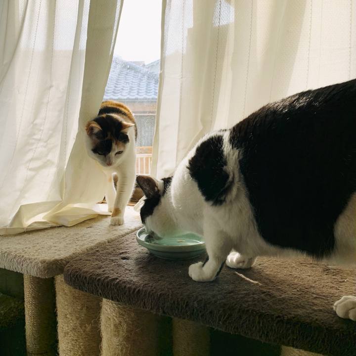 Cd53ed9e 0ff7 4fae a612 209b40f9e797 1555466859792