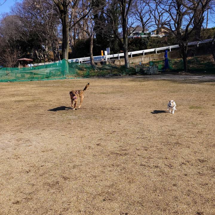 Cd54236e 04a2 44f4 ae88 4b2022822fa2 1742447183688