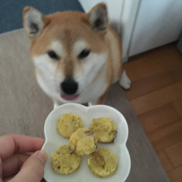 Cd543600 11ec 4c10 b729 efe0ad6db199 1610682071641