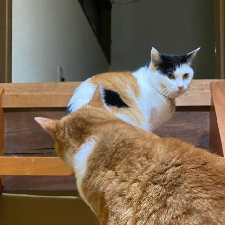 Cd5458fc 4eaa 4823 a581 159ef69a0fa6 1646255002607