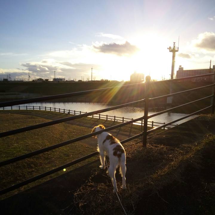 Cd546b58 61c1 43ca 8ede 4cc6dadc978a 1514969337957