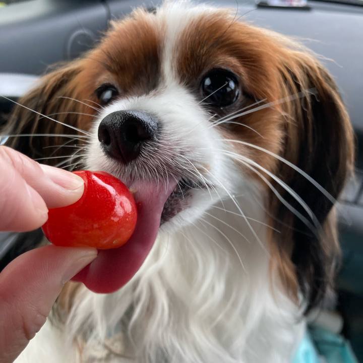 Cd547258 ae31 432f 8fdb 8bbac49c7f03 1657941569408