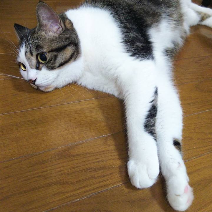 Cd547808 e5f5 4edf b8fb f6f9bfbc1080 1661520538242