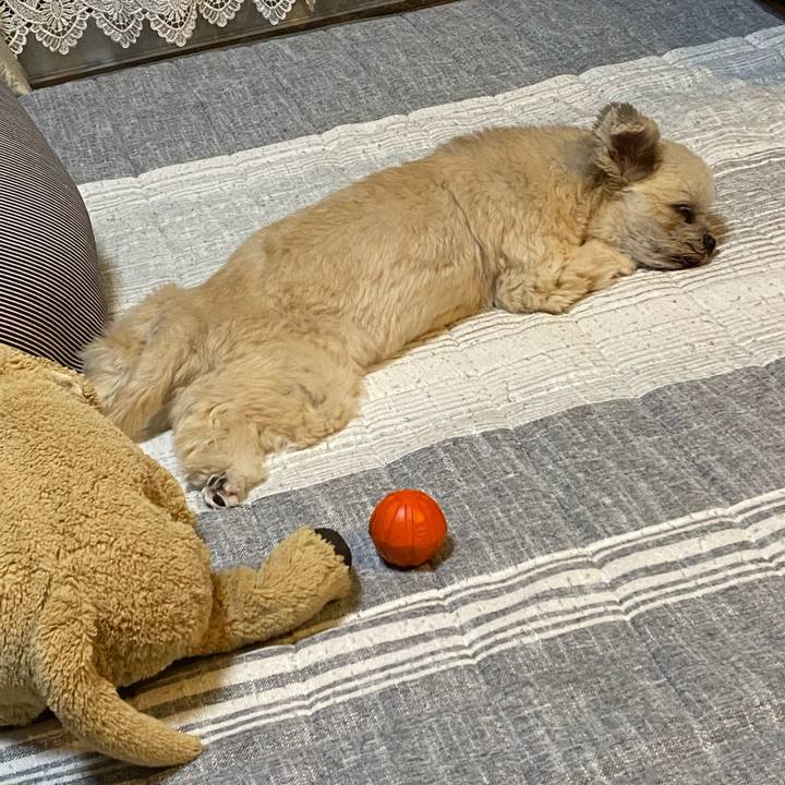 Cd547b86 304b 4b94 b4f0 50bdac73789a 1750332779686