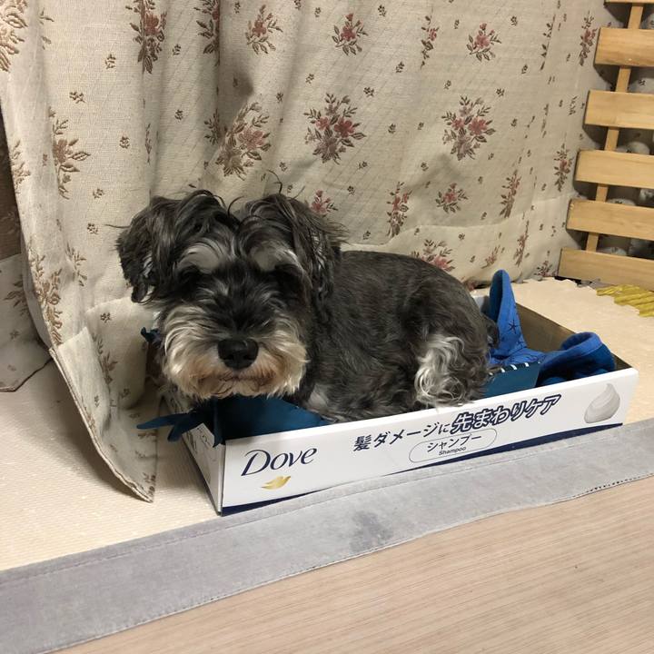 Cd5497ff 9ead 476d 9385 4cfe803c8e8d 1635765059882