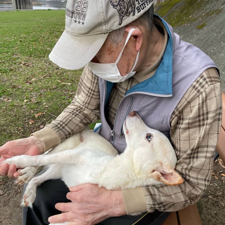 Cd549a8a b6ea 4d67 8624 e68429800383 1679814033484