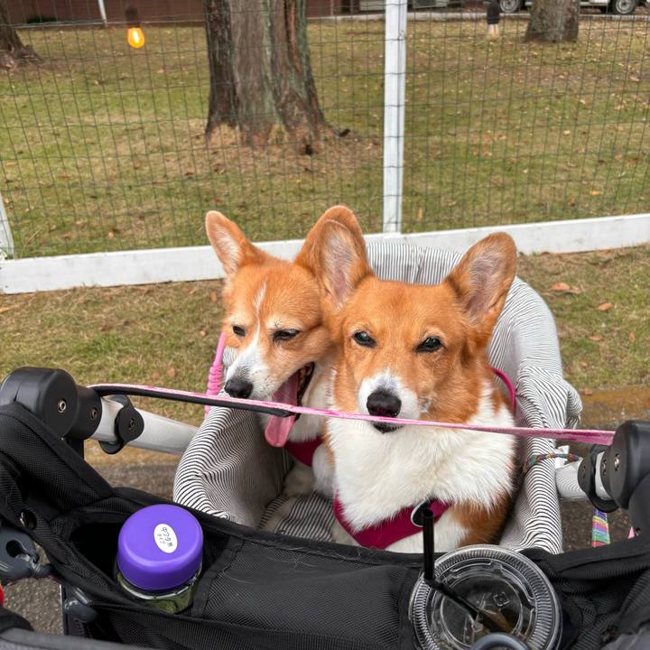 Cd54b629 70f7 4810 ba42 7b023421fc24 1730004753160