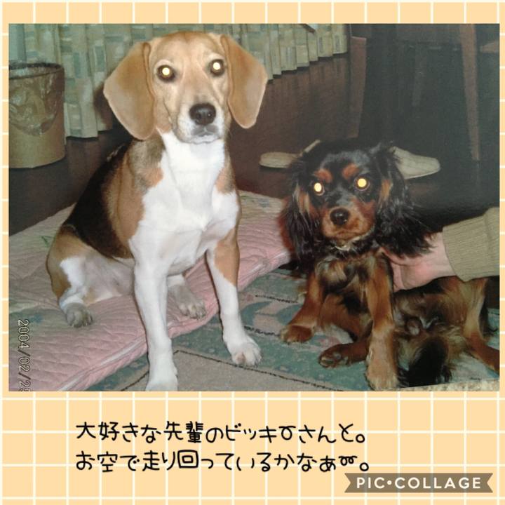 Cd54d2fd aae6 436b 812d 916274379058 1543662660814