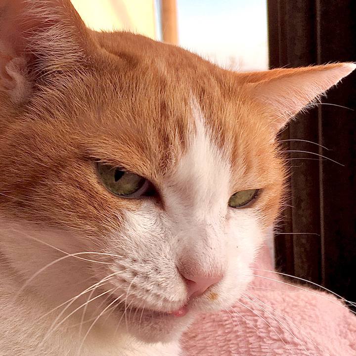 Cd54deaa 5003 459f 95c2 be17ac611f69 1573536877553