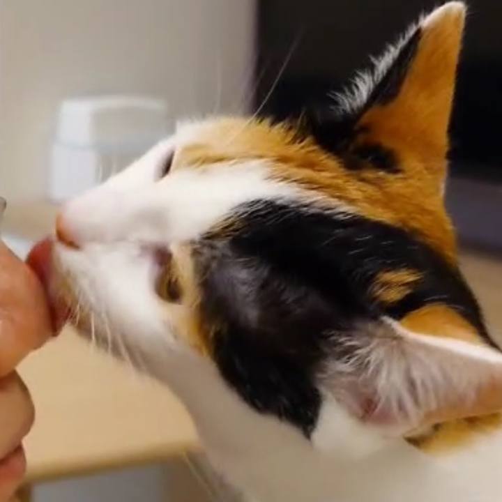 Cd54e795 2bb6 464c 8898 3b42a330567a 1774186123998