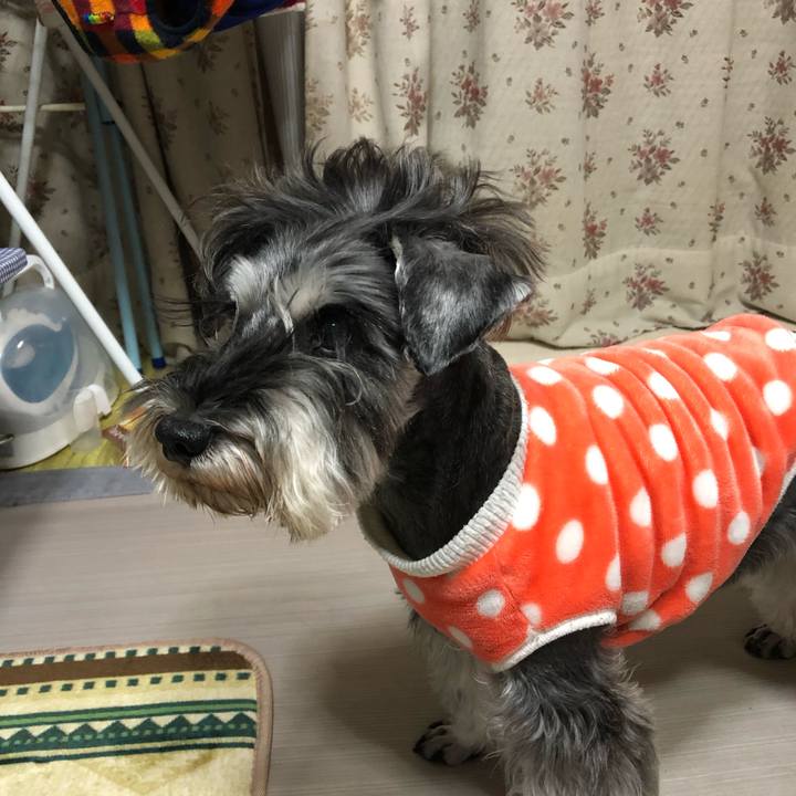 Cd54f2ff 7fe8 4ade ae1d f82cc0196c12 1607263599374