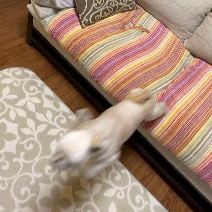 Cd54fdde 5b03 4aa4 b2a4 a44f5ac46200 1579170687291