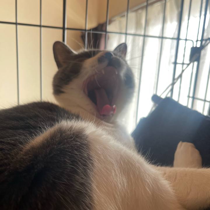 Cd5572a0 1c53 4ec7 a8e0 c65137e2c81e 1681865857799