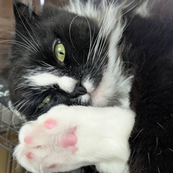 Cd5587ab 418d 46da b81d 66e5f57ed7da 1774792161235