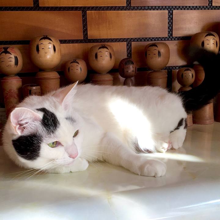 Cd5592e8 82e1 4311 a949 e8e47cb17c78 1586327588539