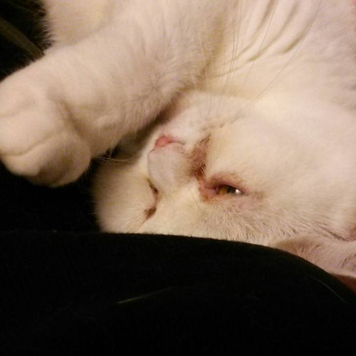 Cd559a20 9c27 499d b968 de46b98cb728 1569152479575