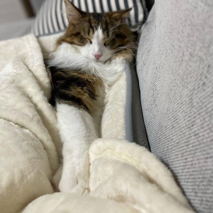 Cd559cf6 13a9 4ac6 b4bc 668d0f461389 1643369502718