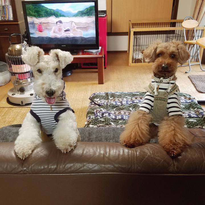 Cd55ca48 7cb5 41ba a9ab fc6b40507914 1552343950121