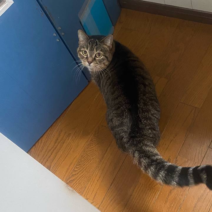 Cd55d006 8b8b 446c bc67 85df8572cdb3 1675472193094