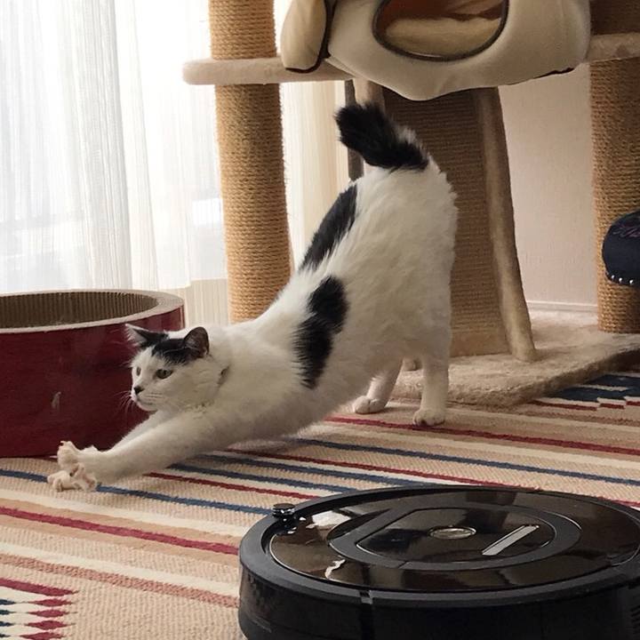 Cd55d50c 235d 4ebe bd97 f0da26adcfe0 1508218521237