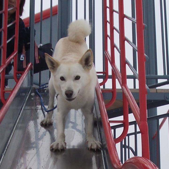 Cd55e8d1 70dd 46a0 a8e8 91733c01189c 1529503333421