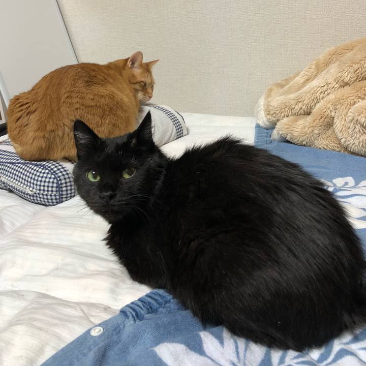 Cd561a93 50cf 4f13 8a6c 3c6d9aa294db 1583158492893