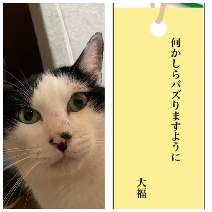 Cd565244 5437 42ed ae02 26f6e8851566 1688638617640